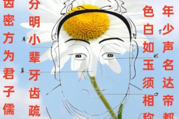 探秘面相：门牙的象征与命运解析