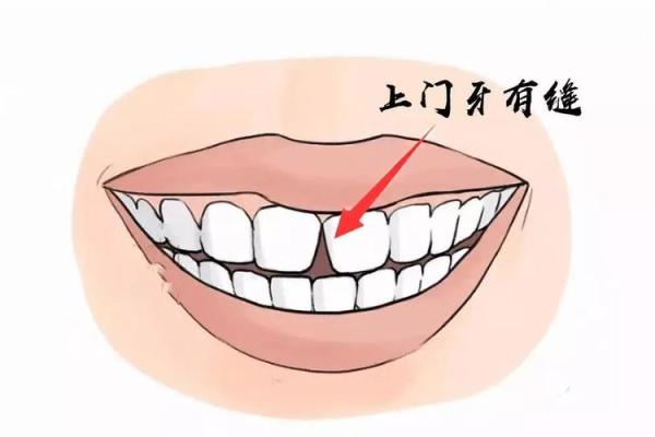 探秘面相：门牙的象征与命运解析