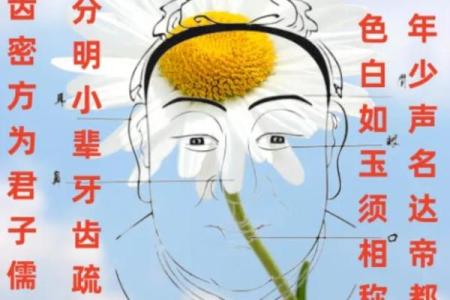 探秘面相:门牙的象征与命运解析