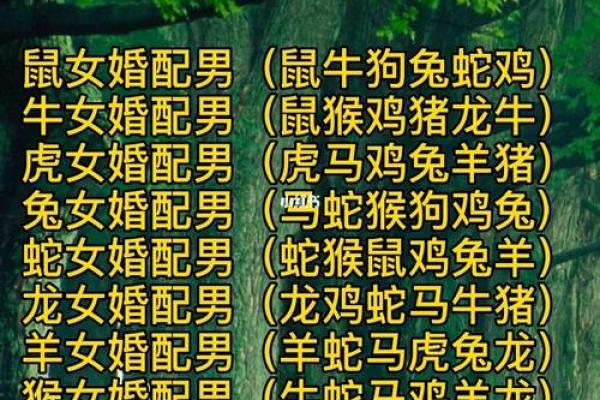 男水命与女木命的结合，孩子命运如何？解读八字中的奥秘！