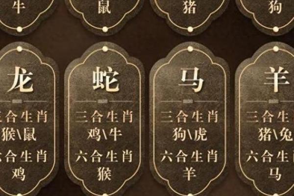 九月出生男孩属狗：命运解析与人生启示