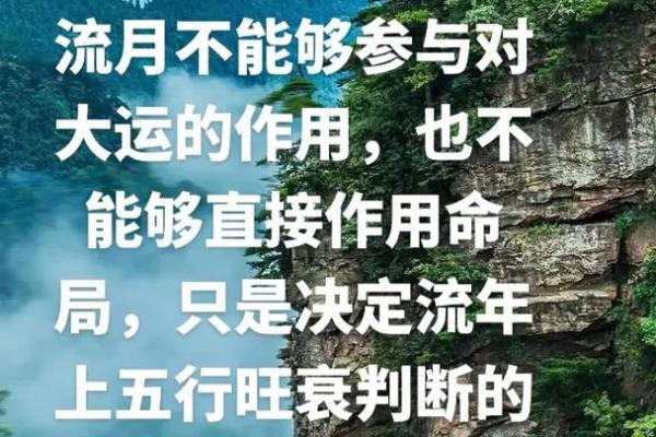 男命流月印食的深刻解析与人生指导