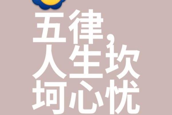 乐天之命，脚踏实地：理智与梦想的完美结合