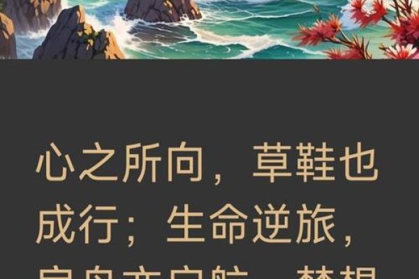 乐天之命，脚踏实地：理智与梦想的完美结合