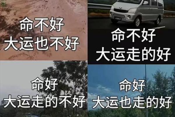 探讨命理：为什么有些男性注定成为光棍？