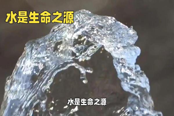 命水十分好：探寻生命之水的秘密与启示