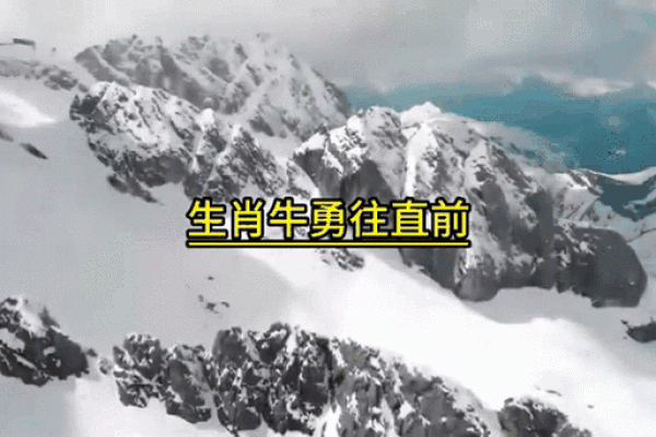 揭秘老板心中的五大生肖，助你职场腾飞！