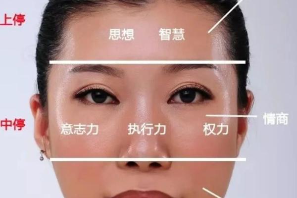 命理中的贤妻：智慧与温柔的结合，让家庭更加和谐美好