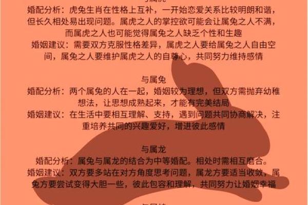 卯时兔与属猪的命理解析：你不知道的命中秘密！