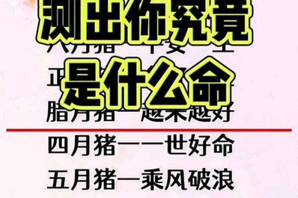 探寻九五年出生属猪之命：揭开神秘面纱，揭秘命格魅力！