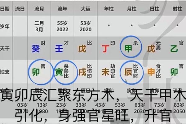 官星在女命四柱中的象征意义与人生导向