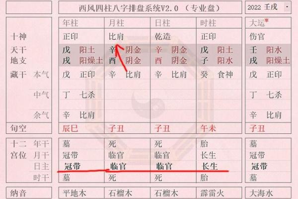 解读2006年7月8日出生者的命运与人生轨迹
