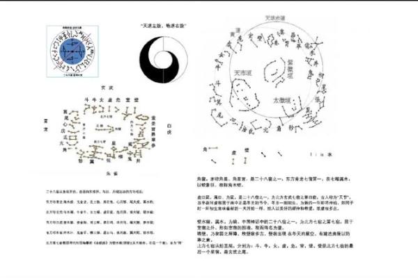 木鼠男的命理解析：颜色与性格的奇妙关联