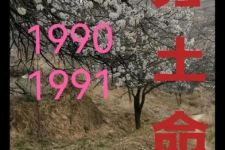 路旁土命女人的心思:她们最爱什么样的命男?