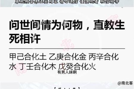 探索寅丑合：盲派命理中的潜在危害与影响解析