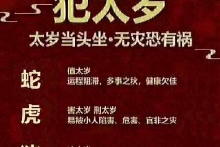 年柱病符男命解析:命运中的挑战与机遇