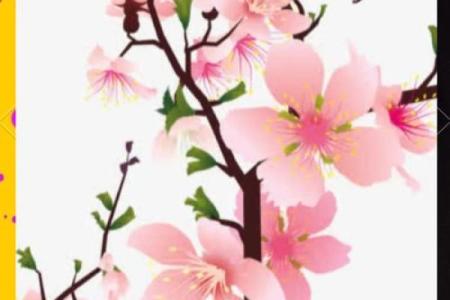 命理中的桃花：解密桃花运与爱情的神秘力量