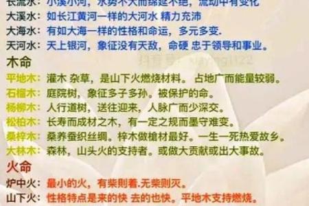 探秘命盘中的迁移宫平权：揭示个人流动与机遇的奥秘