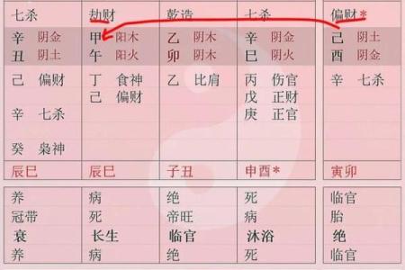 命理中的忌神之女人：她们的命运与特点解析