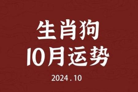 九月出生男孩属狗：命运解析与人生启示