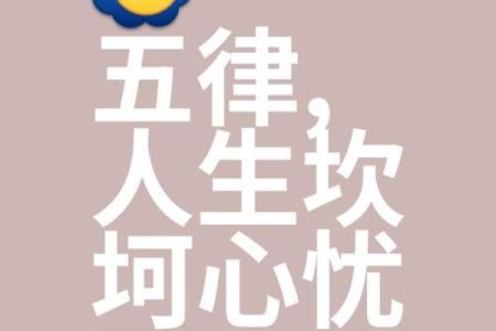 乐天之命，脚踏实地：理智与梦想的完美结合