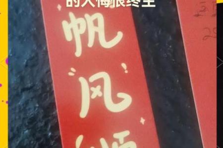 命也是命，人生的选择与命运的交织探讨