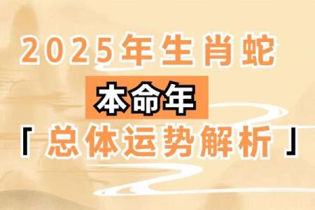 两个七杀：解析命局中的神秘力量与个人命运