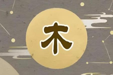 为木命人取名：如何为命中缺木之人寻找合适的名字