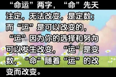 命运的两极：满命与不满命的深刻对比与启示