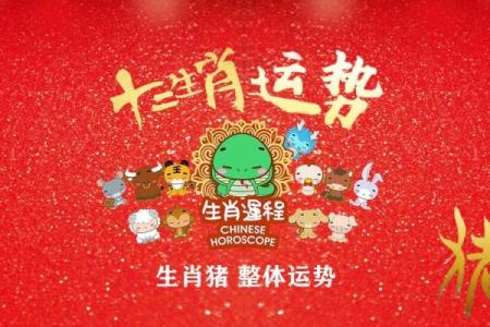 探寻九五年出生属猪之命：揭开神秘面纱，揭秘命格魅力！