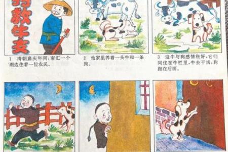 救狗一命，胜造七级浮屠：那些温暖人心的故事