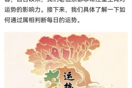 命里缺火的人可以佩戴哪些配饰来提升运势？