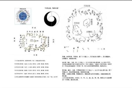 木鼠男的命理解析：颜色与性格的奇妙关联