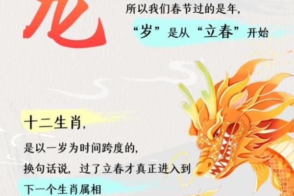 探讨龙命理：属龙男性的命格与性格魅力解析