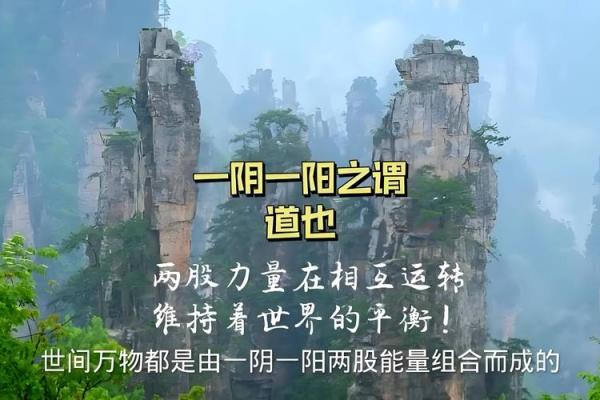 乐天之命：脚踏实地，成就人生的秘密之道