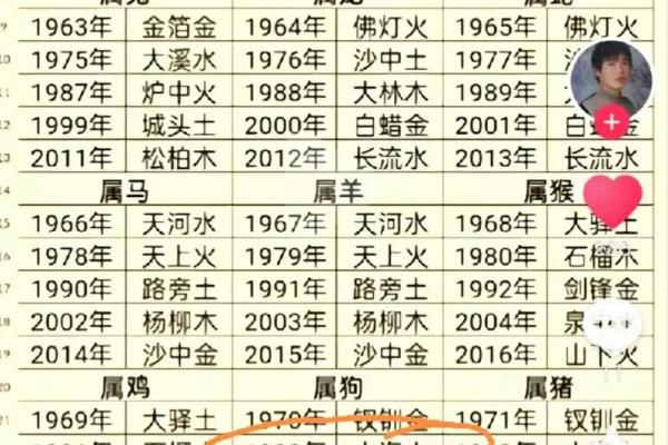 炉中火命的人需谨慎，哪些职业不适合？