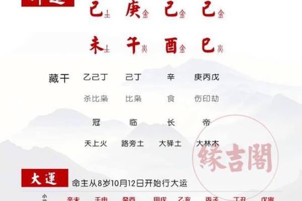 女命八字中如何识别将星与偏财，助力人生逆袭秘诀