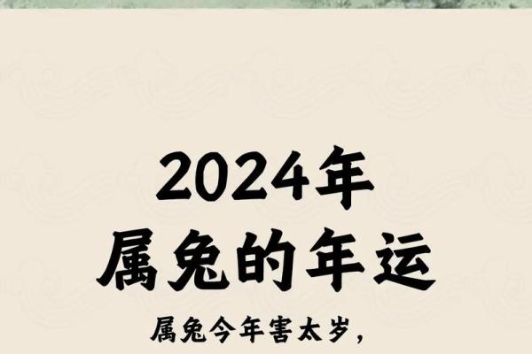 明年兔年五行属性解析：揭示兔年的神秘面纱与命运走向