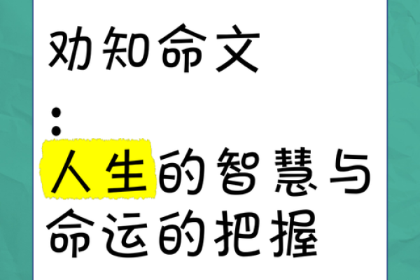 命理解析：揭秘《命1命4》中的深刻智慧与人生哲学