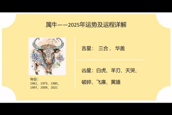 卯时出生的牛宝宝命运解析：揭示未来与性格的奥秘