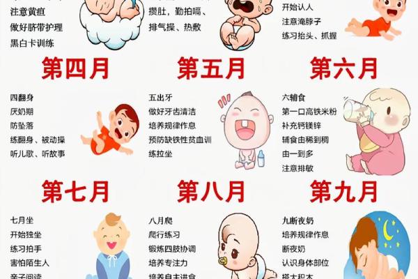 九月初一出生的男孩，命运与性格的独特探秘