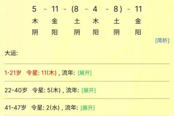 探寻六二年腊月二十四的命运密码：命理中的深刻启示