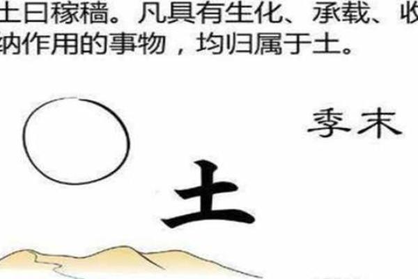 骆字的五行分析与命理探秘：了解你的命运之钥