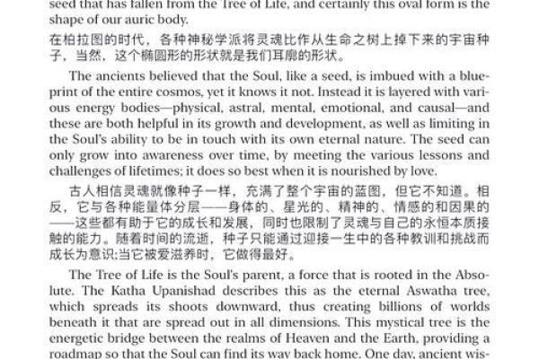 命理学术研究：探索宇宙与个人命运之间的奥秘