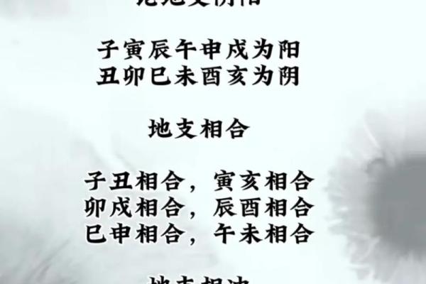 命局中三寅冲一申：揭示命理的深层奥秘与人生智慧