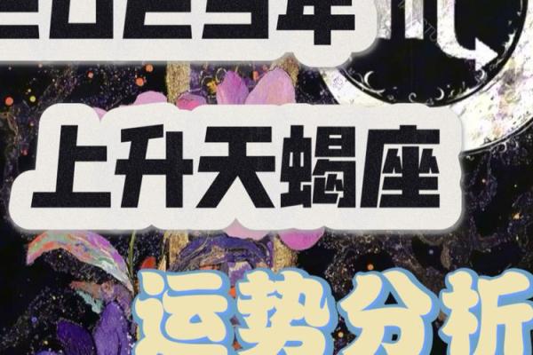 2025年命运与运势：如何把握未来的脉搏与机遇