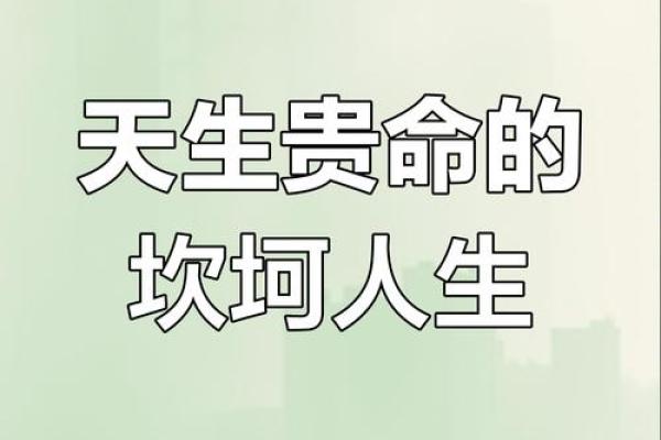 命理学中的双贵：揭示你人生的财富与机遇