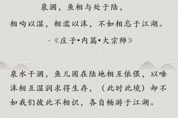 解读乾命与西四命的深层含义与人生启示