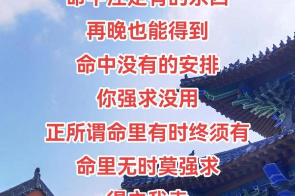命里流年带一孤，探寻孤独背后的智慧与成长