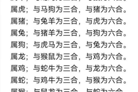 探讨龙命理：属龙男性的命格与性格魅力解析